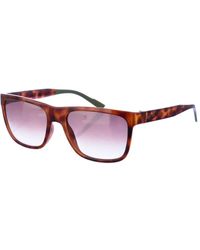 Calvin Klein - Accessories > sunglasses - Lyst
