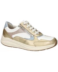 SOLIDUS - Schoenen ,Veelkleurig ,Leer Kitty 54501 Sneakers - Lyst
