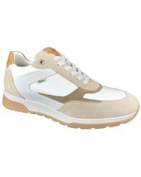 Fluchos - Sneakers - Lyst