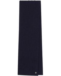 Dolce & Gabbana - Winter Scarves - Lyst