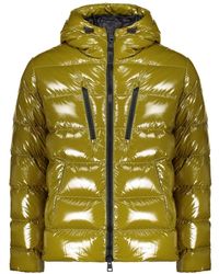 Herno - Jassen ,Groen ,Leer Donsjack Met Capuchon - Lyst
