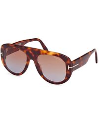 Tom Ford - Cecil sonnenbrille blonde havana/light brown shaded,cecil sonnenbrille - glänzend schwarz/braun - Lyst