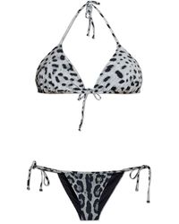 Dolce & Gabbana - Zweiteiliger badeanzug mit tierdruck - Lyst
