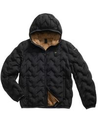 Blauer - Jassen ,Zwart ,Hoek Donsjack Piery Stijl - Lyst