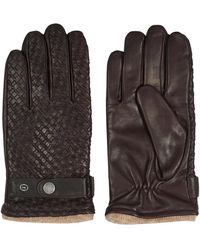 Howard London - Accessoires ,Bruin ,9 - Lyst