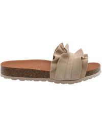 Verbenas - Sliders - Lyst