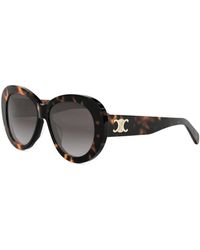 Celine - Accessoires ,Bruin ,Elegante Zonnebril Voor Stijlvolle Look - Lyst