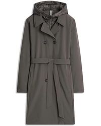 Cinque - Jassen ,Bruin ,Cipaolina Riemenjas - Lyst