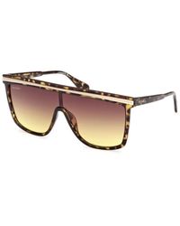 MAX&Co. - Sonnenbrille havana schildpatt stil - Lyst