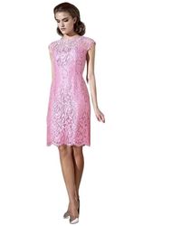 Moskada - Kleedjes ,Roze ,Elegant Kort Chantilly Kant Jurkje - Lyst