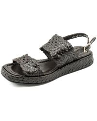 Pons Quintana - Malta Flat Sandal - Lyst
