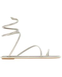 Rene Caovilla - Shoes > sandals > flat sandals - Lyst