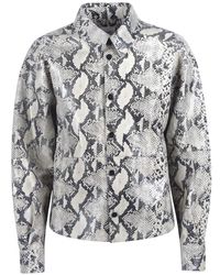 Alysi - Overhemden ,Veelkleurig ,Shirts - Lyst