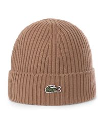 Lacoste - Accessoires ,Bruin ,Rib Knit Beanie - Lyst