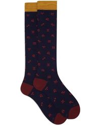 Gallo - Ondergoed ,Blauw ,Katoen Ap 516243 Lange Katoenen Sokken - Lyst