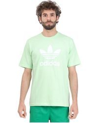 adidas Originals - Grün und weiß adicolor trefoil t-shirt - Lyst