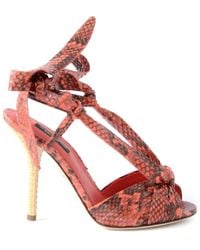 Dolce & Gabbana - Sandalias de tacón de serpiente para mujer - Lyst