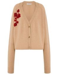 Alberta Ferretti - V-Hals Geborduurde Kasjmier Cardigan - Lyst