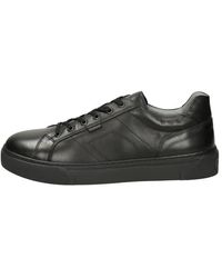 Nero Giardini - Sneakers Bassa - Lyst