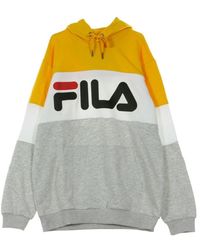 Fila - Hoodies & Sweatvesten ,Veelkleurig ,Geblokkeerde Hoodie Lichtgrijs Melange - Lyst