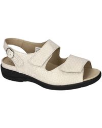 SOLIDUS - Lia Wedge - Lyst