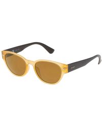 Police - Transparente injizierte sonnenbrille - Lyst