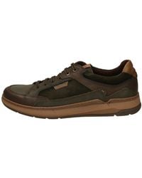Fluchos - Sneakers - Lyst
