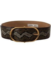 Dolce & Gabbana - Cintura in pelle di pitone marrone con fibbia ovale oro - Lyst