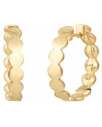 Caï - Trendy Scharnierende Hoop Oorbellen - Lyst