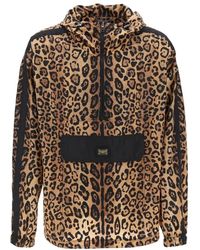 Dolce & Gabbana - Leopard print nylon anor - Lyst