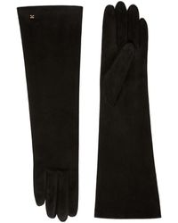 Max Mara - Afide Lange Nappa Handschoenen - Lyst