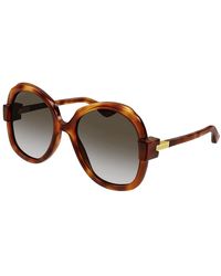 Gucci - Sonnenbrille havana/braun getönt,stylische sonnenbrille gg1432s,schwarze/graue sonnenbrille - Lyst