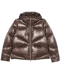 Herno - Jassen ,Bruin ,Gewatteerd Donsjack - Lyst