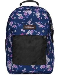 Eastpak - Study Buddy Rugzak - Lyst
