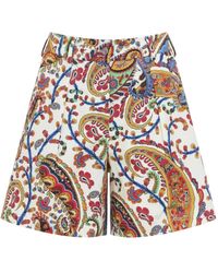 Etro - Korte Broeken ,Veelkleurig ,Flounce Hem Maxi Rok - Lyst