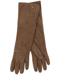 Max Mara - Afidee Lange Handschoenen - Lyst
