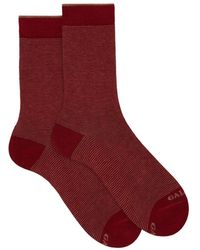 Gallo - Burgunder zwei-ton-gestreifte baumwollsocken - Lyst