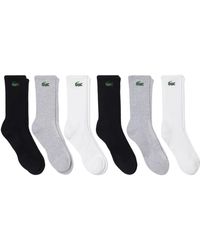 Lacoste - Ondergoed ,Veelkleurig ,Katoen 6-Pack Sportsokken - Lyst