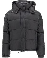 Pinko - Winter Jackets - Lyst