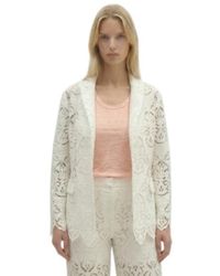 Berenice - Jassen ,Blazer Vina - Lyst