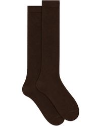 Gallo - Langer Socken - Lyst