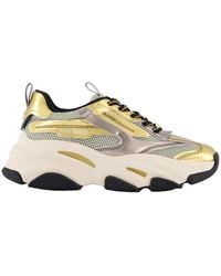 Steve Madden - Sneakers - Lyst