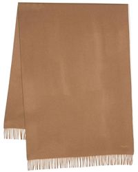 Max Mara - Accessories > scarves > winter scarves - Lyst