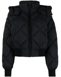 Moose Knuckles - Down Jackets - Lyst