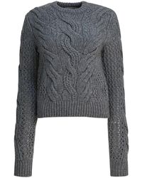 Sportmax - Truien & Vesten ,Grijs ,Wol Radio Crewneck Sweater - Lyst