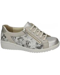 SOLIDUS - Schoenen ,Grijs ,Wol Maren Sneaker - Lyst