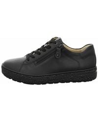 Hartjes - Modern Sneaker - Lyst