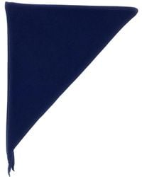 Extreme Cashmere - Winter Scarves - Lyst
