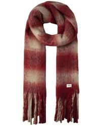 Pepe Jeans - Gestreepte Winter Sjaal Met Franjes - Lyst