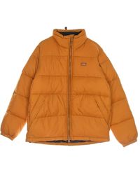 Dickies - Waterafstotende Donsjack Met Hoge Kraag - Lyst